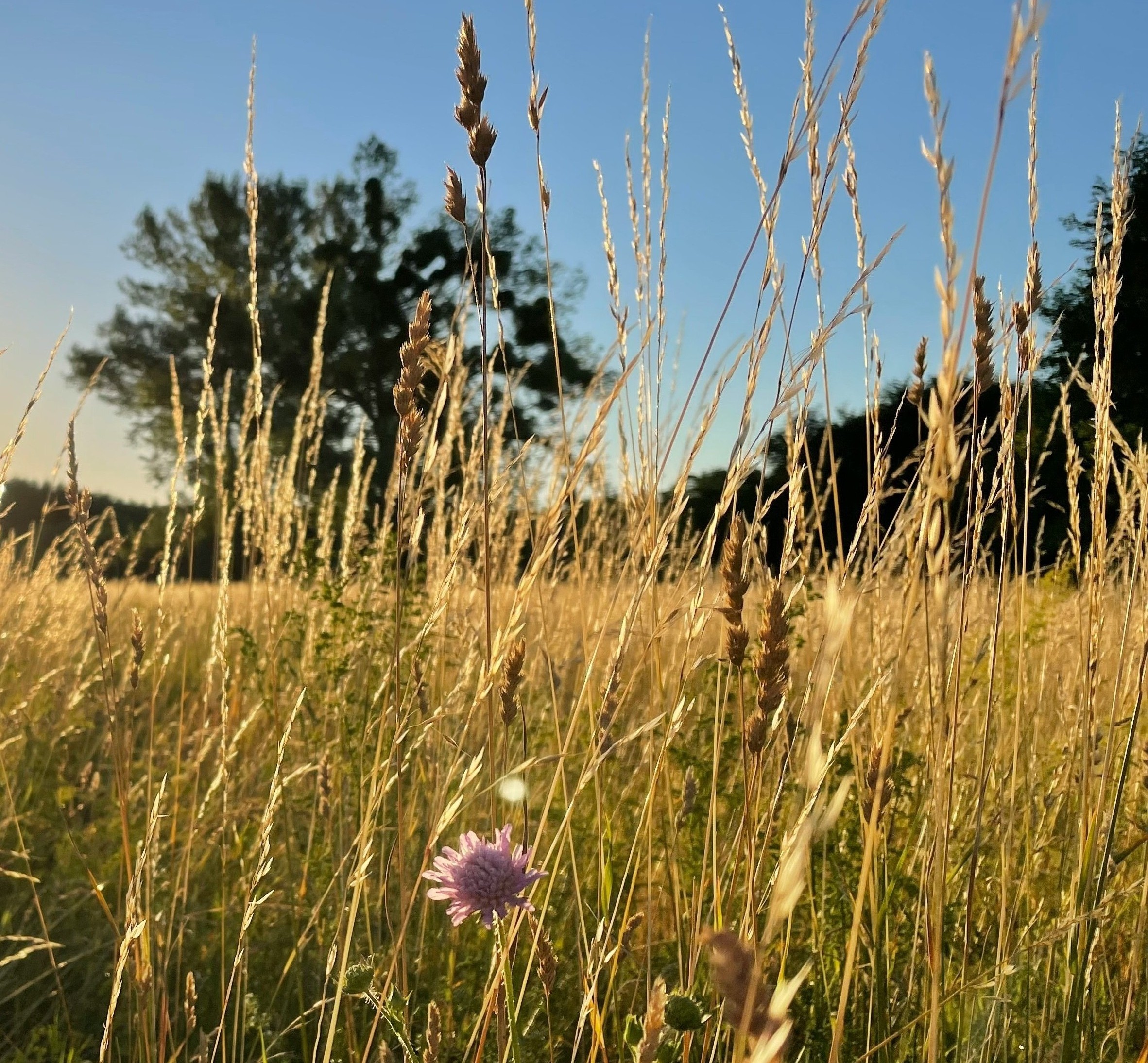 marek-omasta-lSsISOgpgI8-unsplash